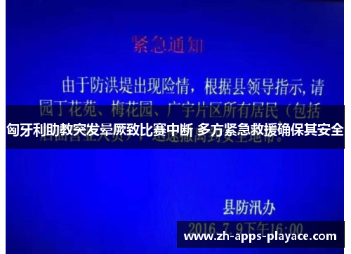匈牙利助教突发晕厥致比赛中断 多方紧急救援确保其安全 匈牙利助教突发晕厥致比赛中断 多方紧急救援确保其安全